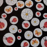 Ladybugs & Daisies Bday Litter