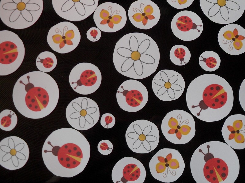 Ladybugs & Daisies Bday Litter